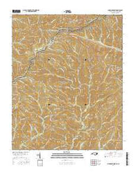 Clingmans Dome North Carolina Current topographic map, 1:24000 scale, 7.5 X 7.5 Minute, Year 2016