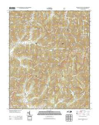 Craggy Pinnacle North Carolina Historical topographic map, 1:24000 scale, 7.5 X 7.5 Minute, Year 2013