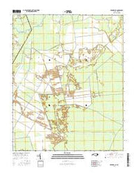 Creswell SE North Carolina Current topographic map, 1:24000 scale, 7.5 X 7.5 Minute, Year 2016