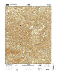 Danbury North Carolina Current topographic map, 1:24000 scale, 7.5 X 7.5 Minute, Year 2016