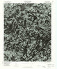 Dobson North Carolina Historical topographic map, 1:24000 scale, 7.5 X 7.5 Minute, Year 1976