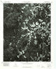Ellerbe North Carolina Historical topographic map, 1:24000 scale, 7.5 X 7.5 Minute, Year 1976
