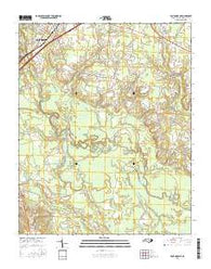 Four Oaks NE North Carolina Current topographic map, 1:24000 scale, 7.5 X 7.5 Minute, Year 2016