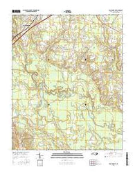 Four Oaks NE North Carolina Current topographic map, 1:24000 scale, 7.5 X 7.5 Minute, Year 2016