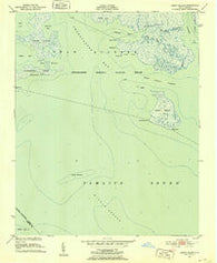 Great Island North Carolina Historical topographic map, 1:24000 scale, 7.5 X 7.5 Minute, Year 1951
