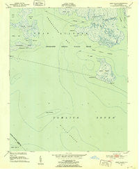 Great Island North Carolina Historical topographic map, 1:24000 scale, 7.5 X 7.5 Minute, Year 1951