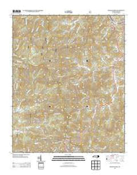 Greens Creek North Carolina Historical topographic map, 1:24000 scale, 7.5 X 7.5 Minute, Year 2013