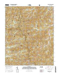 Greens Creek North Carolina Current topographic map, 1:24000 scale, 7.5 X 7.5 Minute, Year 2016