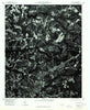Hamlet North Carolina Historical topographic map, 1:24000 scale, 7.5 X 7.5 Minute, Year 1976