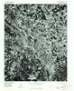 Hendersonville North Carolina Historical topographic map, 1:24000 scale, 7.5 X 7.5 Minute, Year 1977