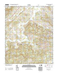 Horse Shoe North Carolina Historical topographic map, 1:24000 scale, 7.5 X 7.5 Minute, Year 2013