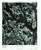 Laurinburg North Carolina Historical topographic map, 1:24000 scale, 7.5 X 7.5 Minute, Year 1976