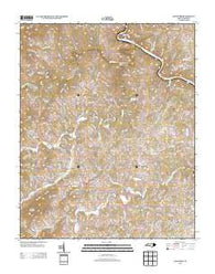 Leicester North Carolina Historical topographic map, 1:24000 scale, 7.5 X 7.5 Minute, Year 2013