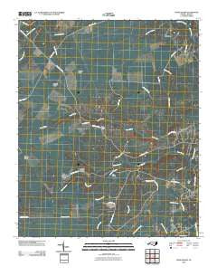 Lewis Swamp North Carolina Historical topographic map, 1:24000 scale, 7.5 X 7.5 Minute, Year 2010