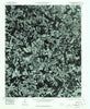 Lincolnton West North Carolina Historical topographic map, 1:24000 scale, 7.5 X 7.5 Minute, Year 1976