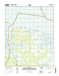 Lowland North Carolina Current topographic map, 1:24000 scale, 7.5 X 7.5 Minute, Year 2016
