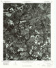 Marston North Carolina Historical topographic map, 1:24000 scale, 7.5 X 7.5 Minute, Year 1976
