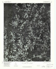 Middleburg North Carolina Historical topographic map, 1:24000 scale, 7.5 X 7.5 Minute, Year 1977