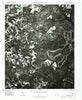 Millstone Lake North Carolina Historical topographic map, 1:24000 scale, 7.5 X 7.5 Minute, Year 1976