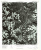 Morven East North Carolina Historical topographic map, 1:24000 scale, 7.5 X 7.5 Minute, Year 1976