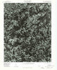 Mount Airy South North Carolina Historical topographic map, 1:24000 scale, 7.5 X 7.5 Minute, Year 1976