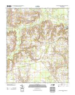 Newton Grove North North Carolina Historical topographic map, 1:24000 scale, 7.5 X 7.5 Minute, Year 2013
