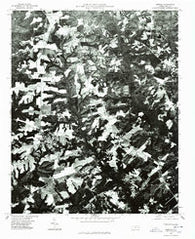 Norman North Carolina Historical topographic map, 1:24000 scale, 7.5 X 7.5 Minute, Year 1976