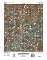 Olive Branch North Carolina Historical topographic map, 1:24000 scale, 7.5 X 7.5 Minute, Year 2010