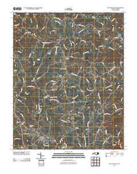Pilot Mountain North Carolina Historical topographic map, 1:24000 scale, 7.5 X 7.5 Minute, Year 2010