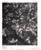 Pinebluff North Carolina Historical topographic map, 1:24000 scale, 7.5 X 7.5 Minute, Year 1976