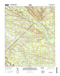 Point Caswell North Carolina Current topographic map, 1:24000 scale, 7.5 X 7.5 Minute, Year 2016