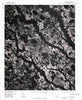 Red Springs North Carolina Historical topographic map, 1:24000 scale, 7.5 X 7.5 Minute, Year 1976