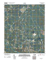 Reelsboro North Carolina Historical topographic map, 1:24000 scale, 7.5 X 7.5 Minute, Year 2010