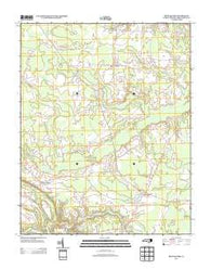 Rich Square North Carolina Historical topographic map, 1:24000 scale, 7.5 X 7.5 Minute, Year 2013