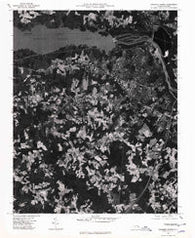 Roanoke Rapids North Carolina Historical topographic map, 1:24000 scale, 7.5 X 7.5 Minute, Year 1975