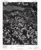 Roanoke Rapids North Carolina Historical topographic map, 1:24000 scale, 7.5 X 7.5 Minute, Year 1975