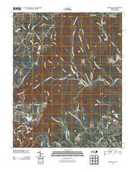 Roaring Gap North Carolina Historical topographic map, 1:24000 scale, 7.5 X 7.5 Minute, Year 2010