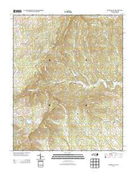 Roaring Gap North Carolina Historical topographic map, 1:24000 scale, 7.5 X 7.5 Minute, Year 2013