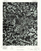 Rocky Mount North Carolina Historical topographic map, 1:24000 scale, 7.5 X 7.5 Minute, Year 1975