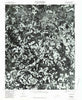 Sanford North Carolina Historical topographic map, 1:24000 scale, 7.5 X 7.5 Minute, Year 1980
