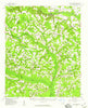 Seven Springs North Carolina Historical topographic map, 1:62500 scale, 15 X 15 Minute, Year 1957
