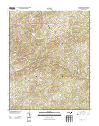 Siler City NE North Carolina Historical topographic map, 1:24000 scale, 7.5 X 7.5 Minute, Year 2013