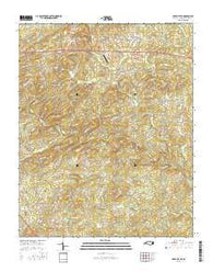 Siler City NE North Carolina Current topographic map, 1:24000 scale, 7.5 X 7.5 Minute, Year 2016