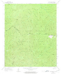 Silers Bald North Carolina Historical topographic map, 1:24000 scale, 7.5 X 7.5 Minute, Year 1964