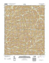 Silers Bald North Carolina Historical topographic map, 1:24000 scale, 7.5 X 7.5 Minute, Year 2013