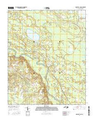 Singletary Lake North Carolina Current topographic map, 1:24000 scale, 7.5 X 7.5 Minute, Year 2016