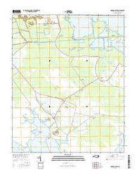Swanquarter North Carolina Current topographic map, 1:24000 scale, 7.5 X 7.5 Minute, Year 2016