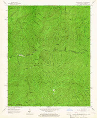 Thunderhead Mtn North Carolina Historical topographic map, 1:24000 scale, 7.5 X 7.5 Minute, Year 1964