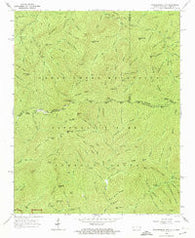 Thunderhead Mtn North Carolina Historical topographic map, 1:24000 scale, 7.5 X 7.5 Minute, Year 1964