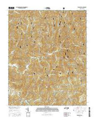 Tuckasegee North Carolina Current topographic map, 1:24000 scale, 7.5 X 7.5 Minute, Year 2016